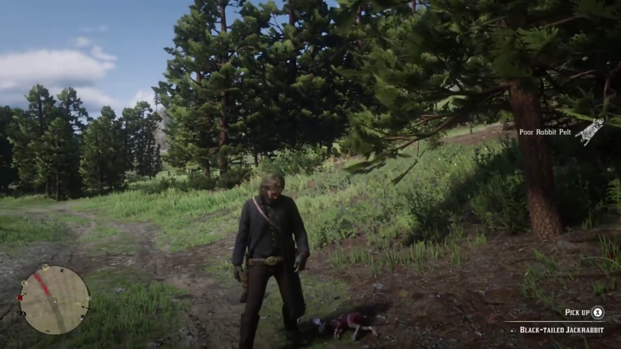 Red Dead Redemption 2, Skinning A Rabbit. - YouTube