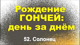 Сюжет 52. Солонец