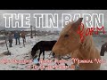 April Snowstorm! ❄️ Feeding Horses &amp; Meaningful Views at The Tin Barn Farm 🐴🏔️