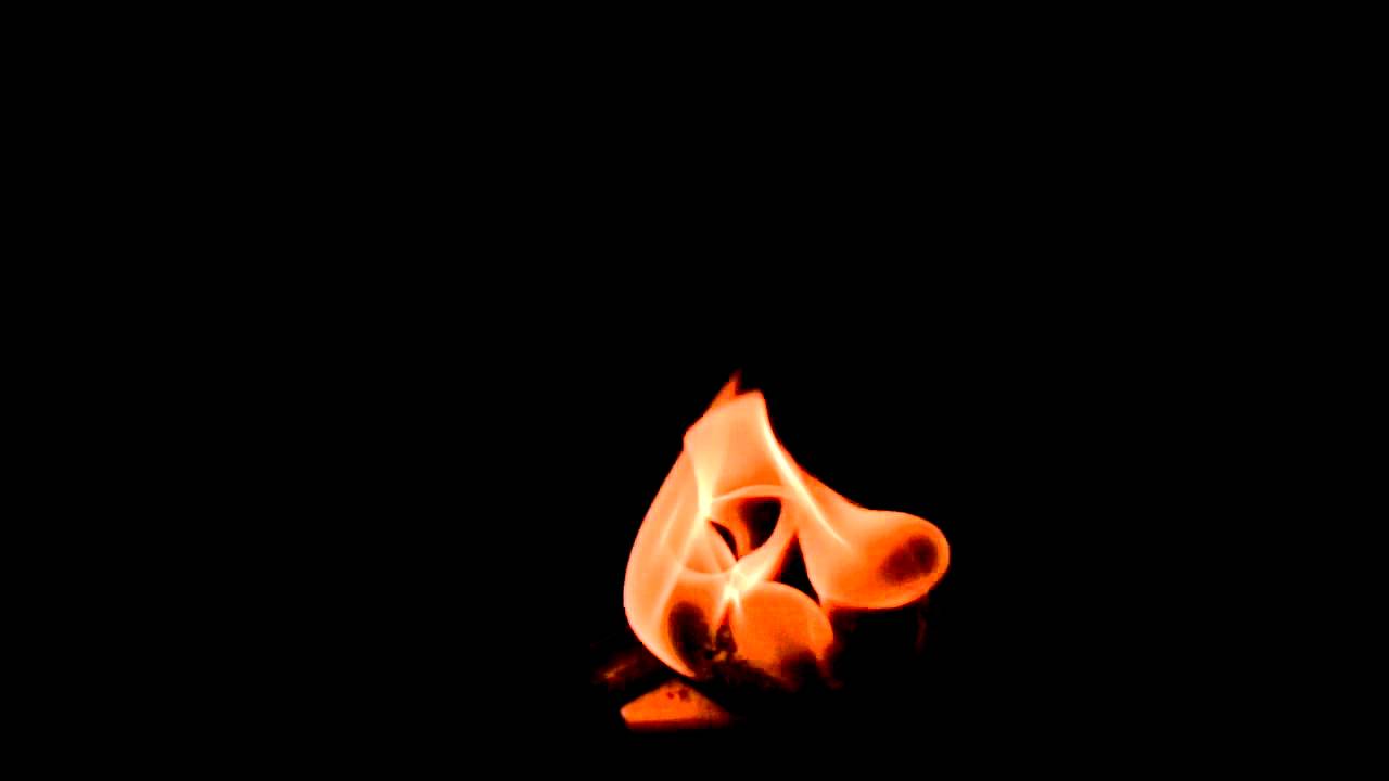 camera iphone 8 plus apk ✨61✨FIRE SAFETY THIS HOLIDAY SEASON🔥🙀 WATCH YOUR cigarette BU