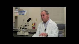 Beta Glucan History and Yeast Beta Glucans