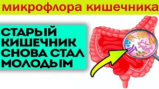 Старый кишечник снова стал молодым. Ожирение и воспаление.