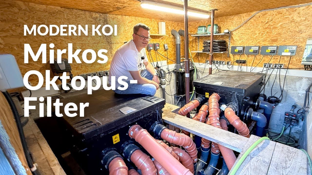 Mirkos Filteranlage aus Oase Trommelfilter und Genesis Bioturm | Modern Koi Blog #8163