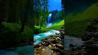 Why You Should Visit The Swiss Alps This Summer Magical Switzerland Scenic Alpine Views