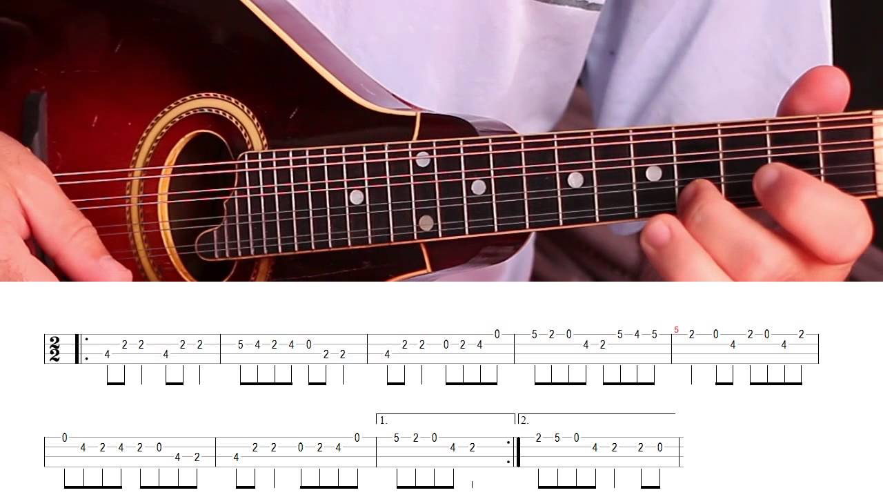 Irish mandolin lessons. Sweeney's Buttermilk (reel) YouTube