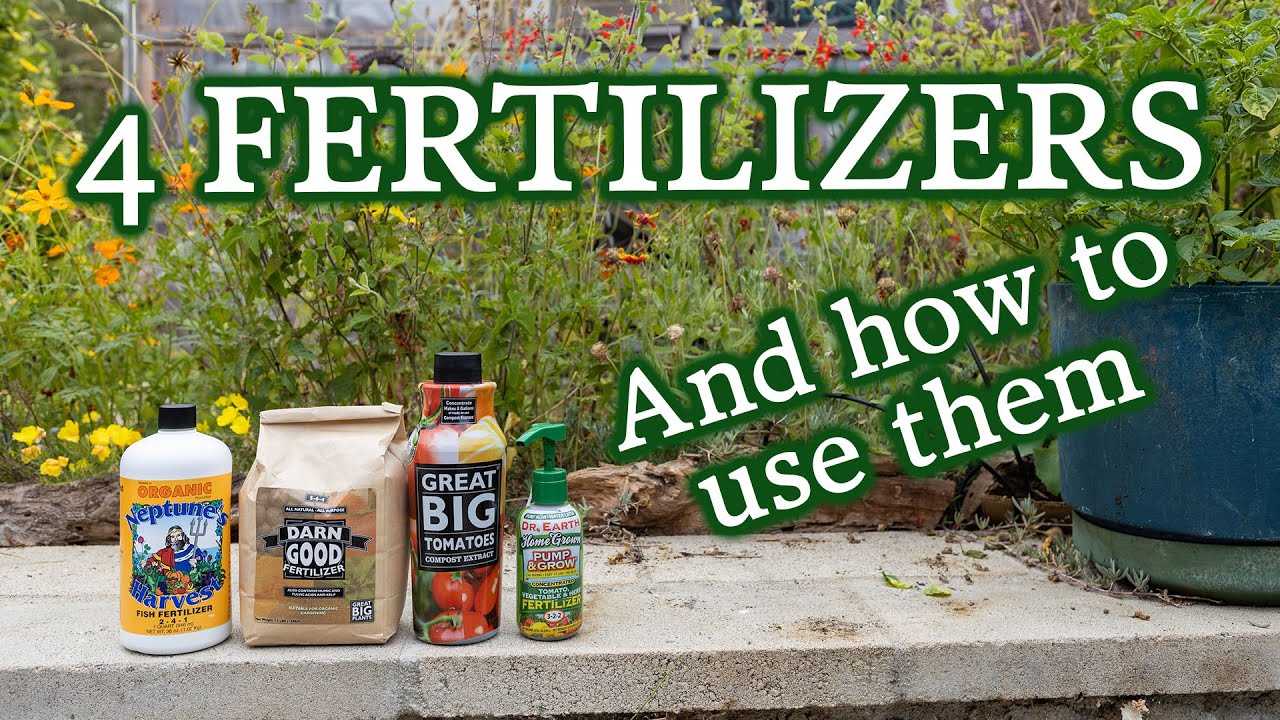 Wondering WHAT Fertilizer To Use & WHEN? The 4 Best Organic Liquid & Granular Products I Use