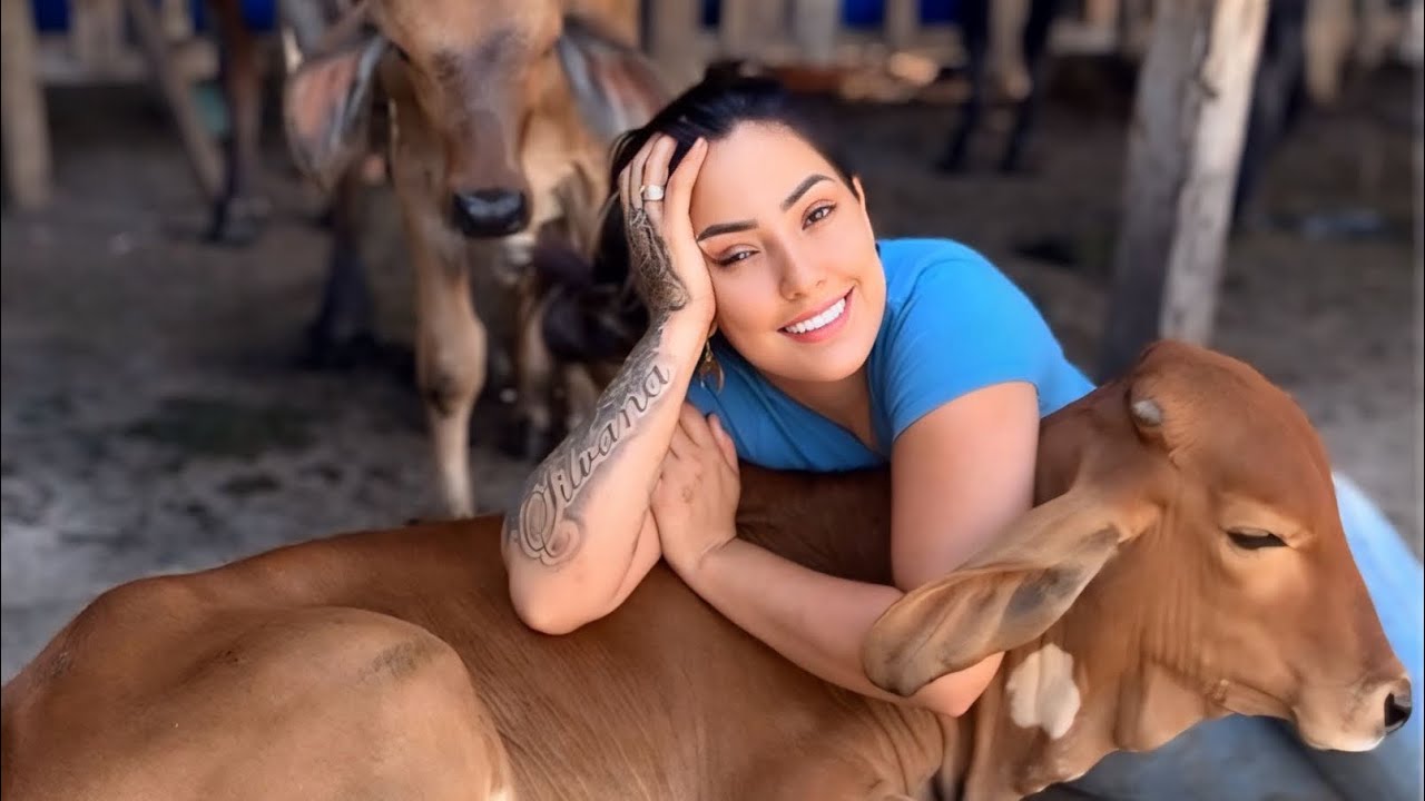 Primeiro dia de canal ,, manejando uma novilha para cabresto num futuro quem sabe montar nela né !!!