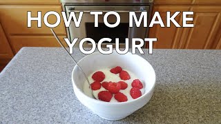 How to Make Yogurt at Home with 2 Ingredients