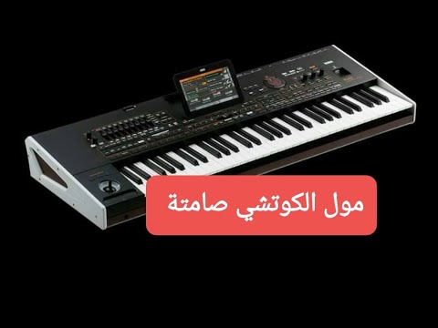 Youssef Khenifra مول الكوتشي صامتة Korg Pa 100 