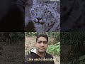 পাহাড়ের ভুত #shortfilm #animals #shortsviral #shorts