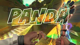 Panda 🐼 (Valorant Montage)