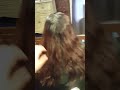 un trabajito maz