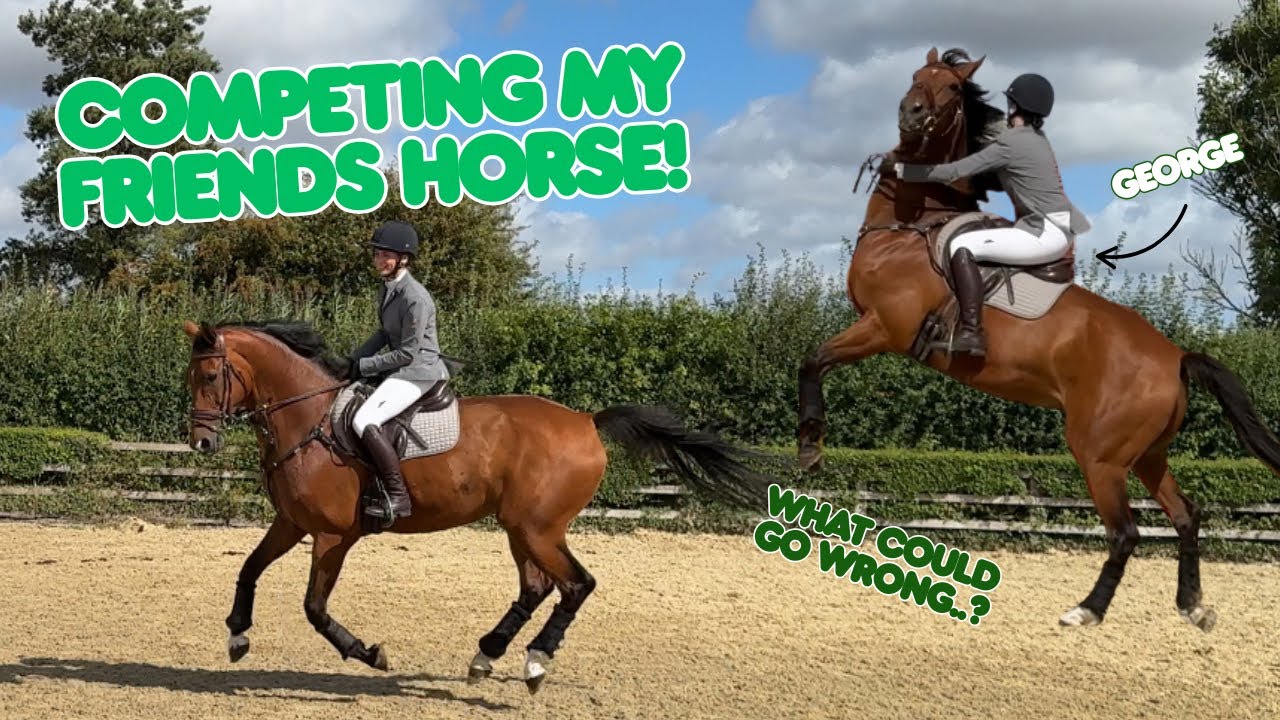 COMPETING MY BEST FRIEND’S HORSE?!