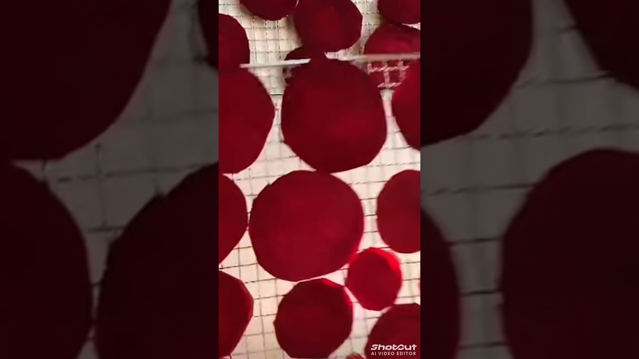 Top 10 mind blowing facts about, 🍊  food! Amazing facts in Hindi  