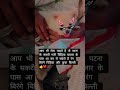 बहुत प्यारा सा है #pooja #love #shortvideo #pooja bihari vlog 👍