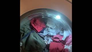 Kapsułki Persil Deep Clean, Test I Recenzja, Jak Wypadają W Codziennym Praniu? Przekonajmy Się.