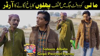 Download Lagu Order to plant a garden in a two-foot space Saleem Albela Goga Pasroori MP3