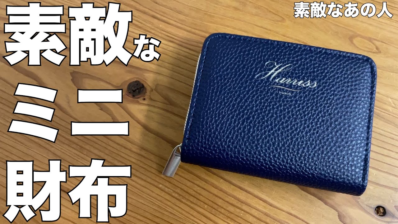 素敵なあの人11月号　付録　じゃばらミニ財布