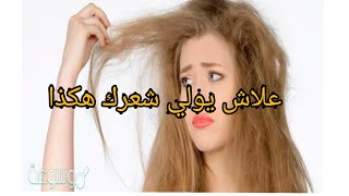 علاش شعرك وشعرك بنتك يتنفخ نهار العيد؟ راح نقوللكم علاش