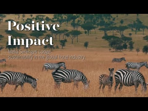 Meliá Serengeti Lodge: sustainability in the global hotel industry