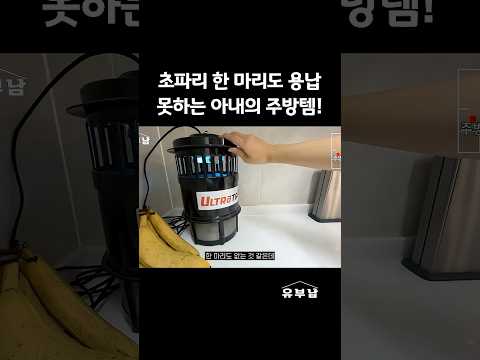 주방에서 나오는 벌레는 바로 수감시켜야 해요🤣