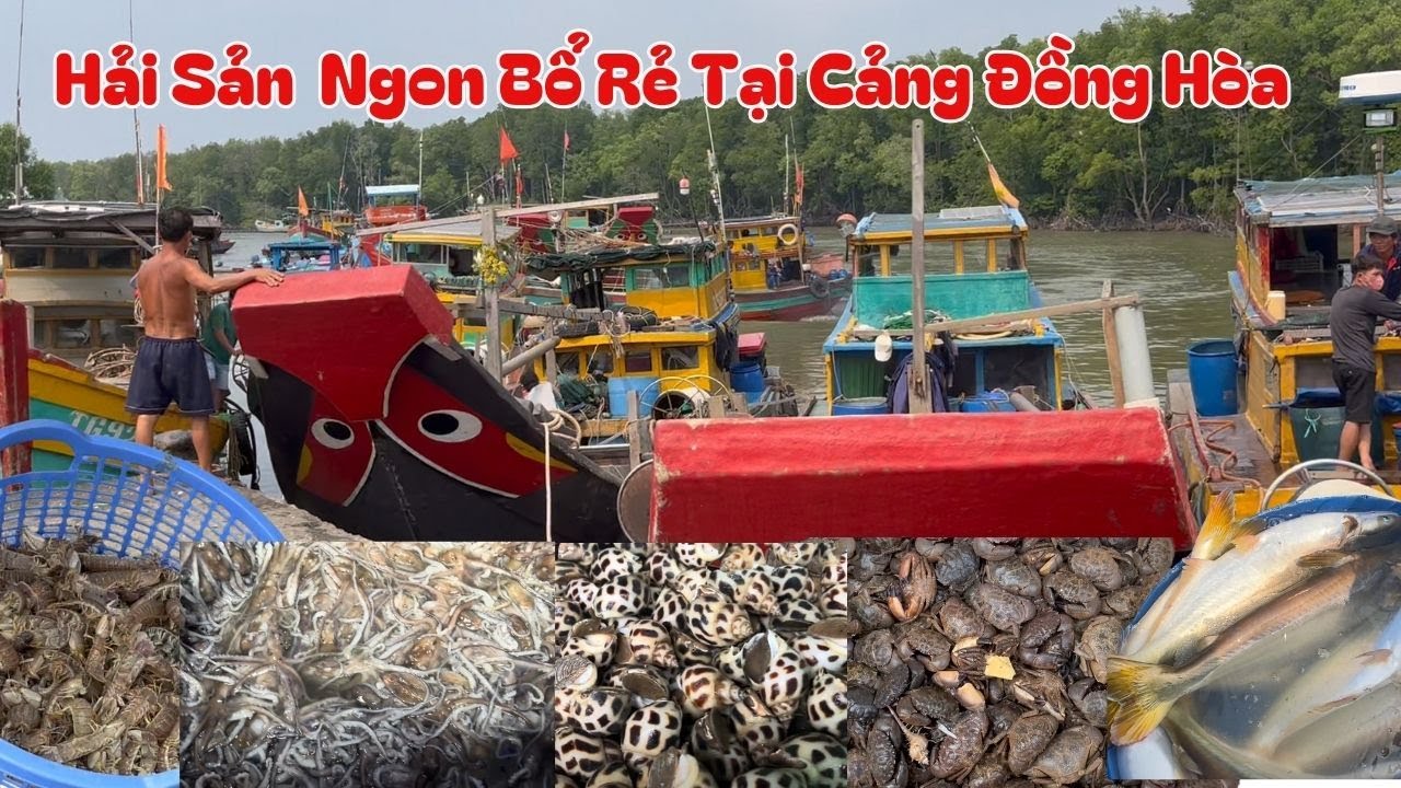Hải sản tươi rẻ như cho ở cảng cá đồng hòa cần giờ