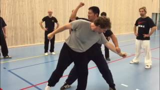 Download Lagu Master Lü demonstrating more details of the five animal form MP3