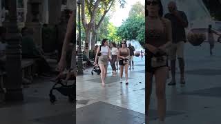 Beautiful Palma Mallorca Spain