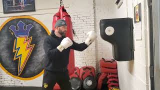 Nista Wall Mount Punching Bag Training