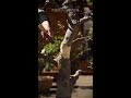 "Play with Me, Pot" Episode 12: Can it still survive like this?