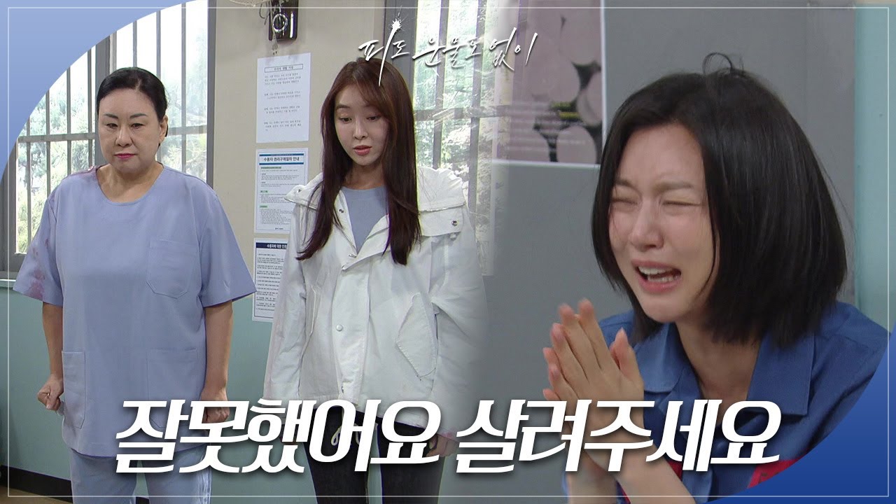 하연주 앞에 나타난 피해자들...? ＂잘못했어요 살려주세요＂ [피도 눈물도 없이/The Two Sisters] | KBS 240613 방송