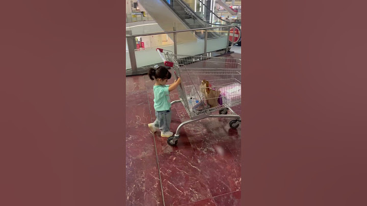 Tiny shopper on a big mission! 🛒😄