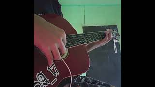 Stephen Evanns - Wellerman Guitar Cover