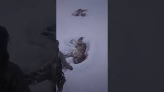 RDR охота