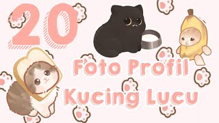 20 Foto Profil Kucing Lucu yang cocok untuk kalian🤩||Link Di Deskripsi 📩