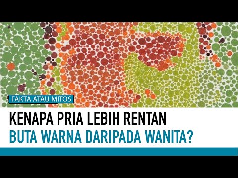 Video: Mengapa buta warna lebih sering terjadi pada pria?