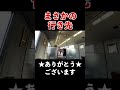 【かささぎ104号】1日1本しかない特別なJR九州特急の自動放送