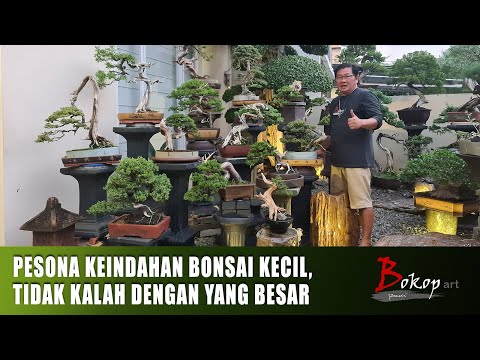 Video: Tepat Di Sepuluh Besar