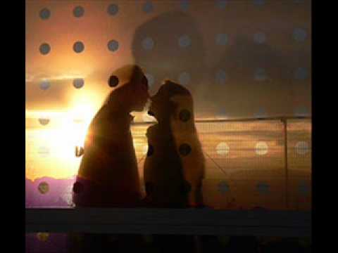 J. Holiday - Suffocate (cover) by Kyo