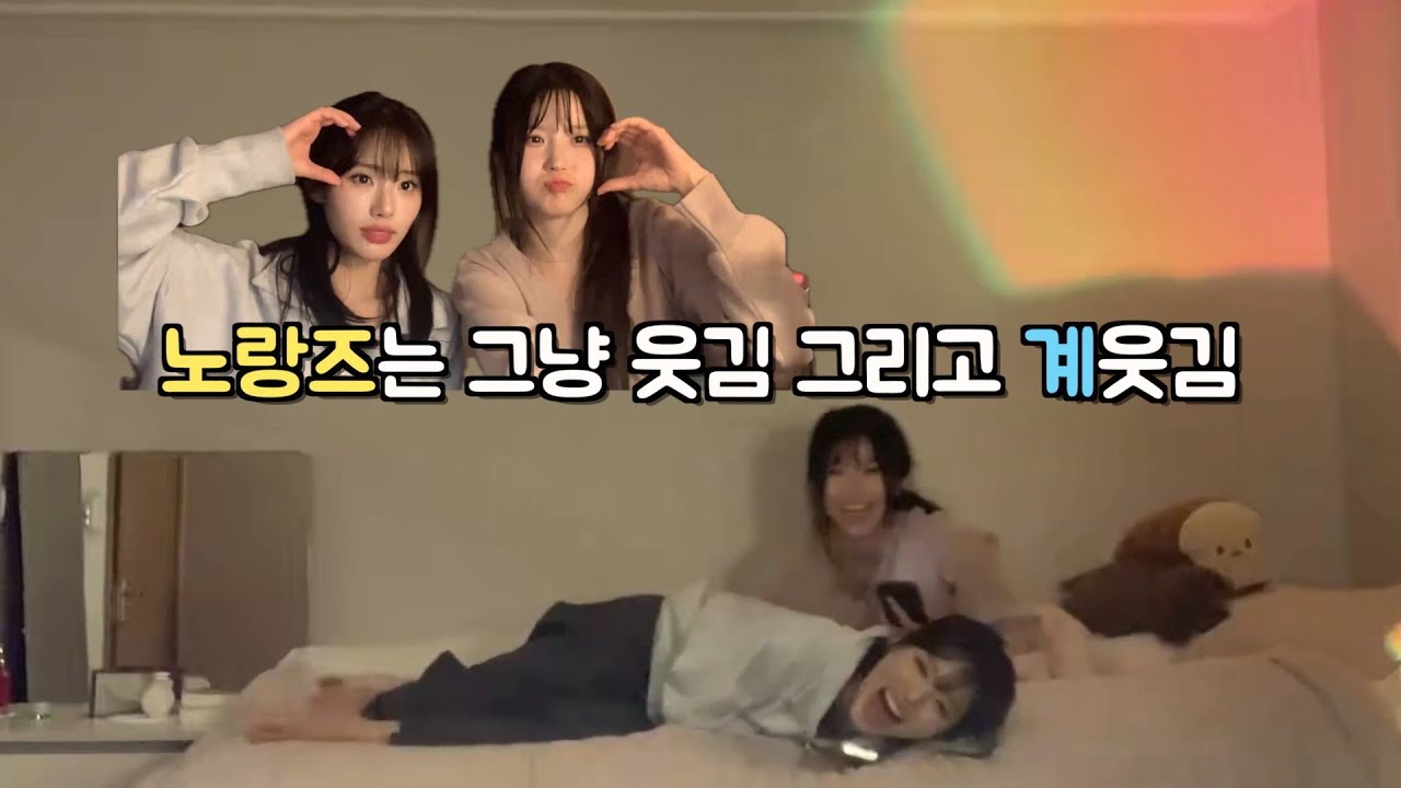 노랑즈는 신계라서 그냥 계웃김 [프로미스나인 송하영, 박지원]