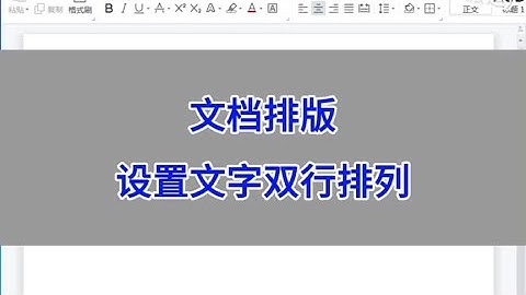 WPS Word：文档排版，设置文字双行排列。#wps #excel #办公技巧