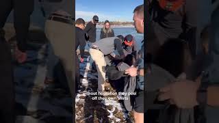 Hero Jumps Into Frozen Lake to Save Dog — Strangers Rush to Help #HeroicRescue #FaithInHumanity