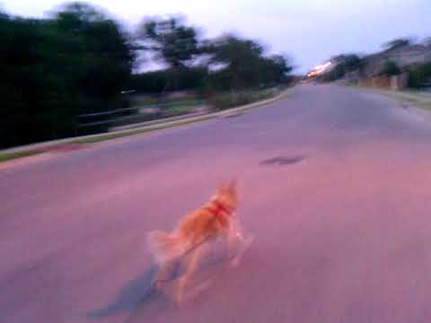 VIDEO0075