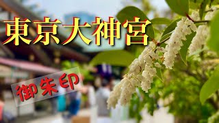 【縁結び】東京大神宮に行って御朱印をいただく！