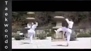 Tự học Taekwondo || Đòn đá xoay 540 tuyệt kỹ trong Taekwondo