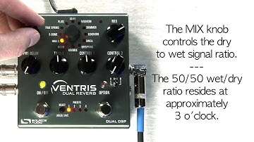 Ventris Dual Reverb: Hall L Reverb