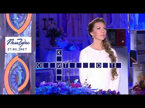 «Антарктида». Поле чудес. Выпуск от 27.01.2017