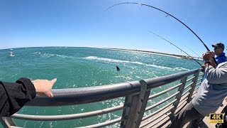 CRazy Sebastian Inlet FISHING Pier.. Everything you need to know.