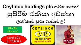 Latest Job Vacancies at Ceylinco Holdings PLC | How to Apply in Sri Lanka - August 2024