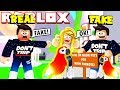 I Caught a FAKE JERUHMI Scamming NEON PETS in Adopt Me! NEW Jungle Update Neon Parrot (Roblox)